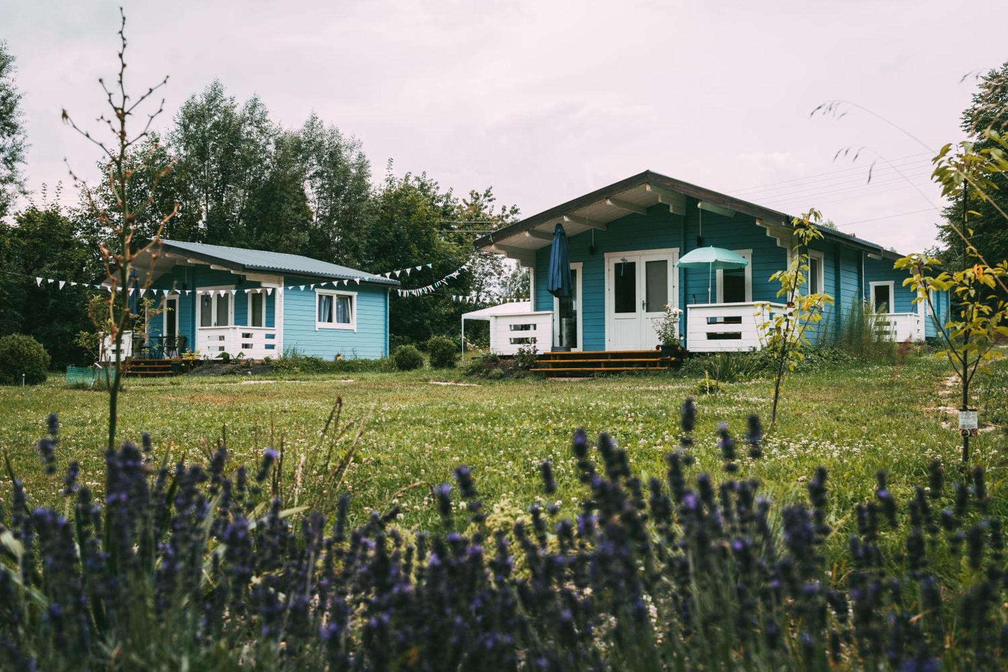 Domek Caloroczny Na Wylacznosc Niebieska Osada Nad Gorskim Potokiem Stary Waliszow Exterior foto
